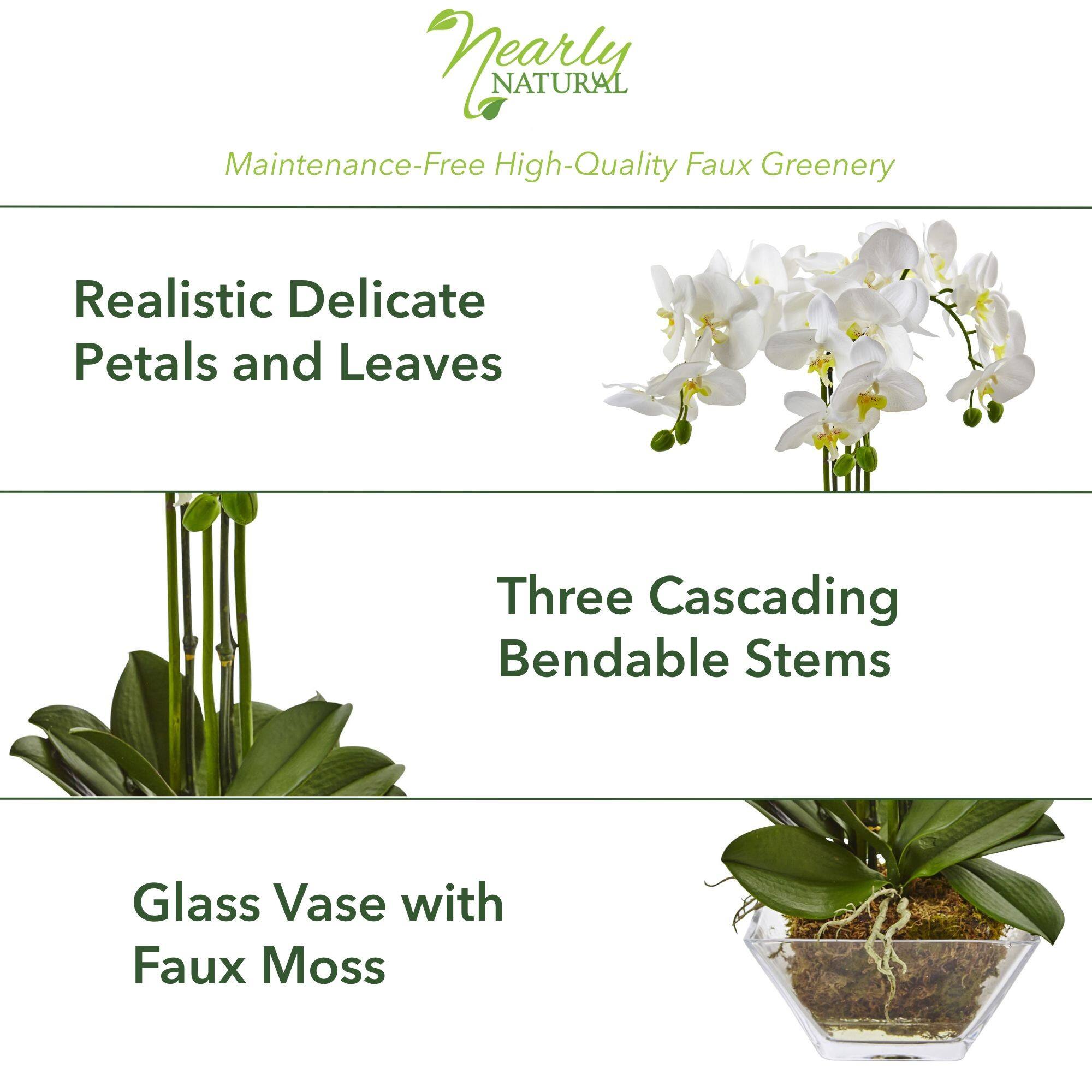 22" White Triple Orchid in Glass Vase